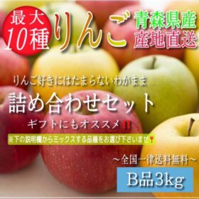 青森県産 最大10種ミックス りんご 家庭用 3kg 農家直送 サンふじ