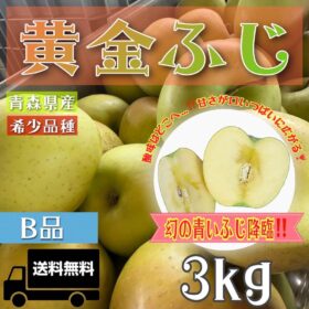 青森県産 黄金ふじ りんご 家庭用 3kg 農家直送 送料無料 リンゴ ふじ