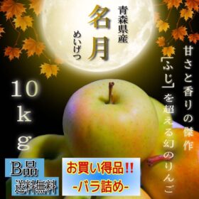 青森県産 ぐんま名月 りんご 家庭用 10kg 農家直送 送料無料 リンゴ ふじ