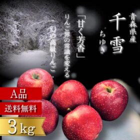 青森県産 千雪 りんご 家庭用 3kg 農家直送 送料無料 リンゴ サンふじ