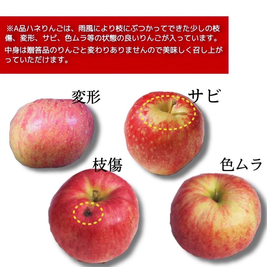 青森県産 千雪 りんご 家庭用 3kg 農家直送 送料無料 リンゴ サンふじ ...