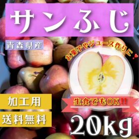 青森県産 サンふじ りんご 加工用 20kg 農家直送 送料無料 リンゴ ふじ
