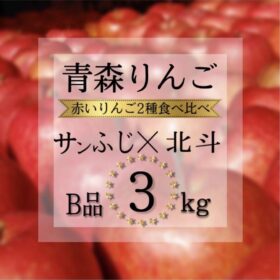 青森県産 サンふじ 北斗 りんご 家庭用 3kg 農家直送 送料無料 リンゴ