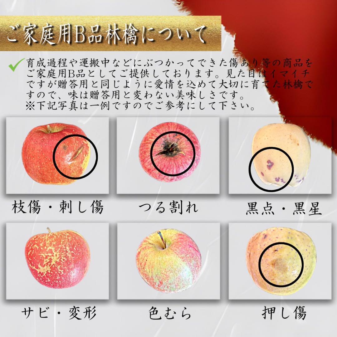 最大89%OFFクーポン 青森県産 星の金貨 北斗 りんご 家庭用 10kg 農家直送 送料無料 リンゴ c14.sk